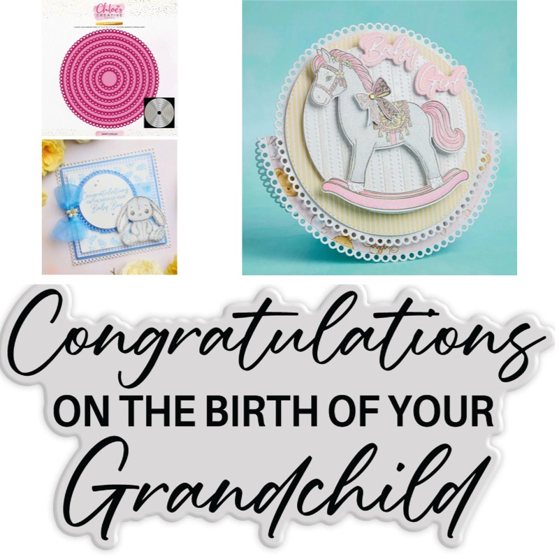 Baby Food Book - Blocks Builder Baby Grandchild Patch Cut