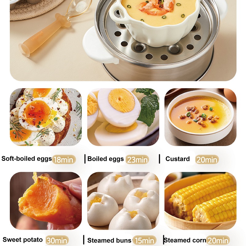 400W Multifunctional Egg Cooke - Baby Food Steamer 评论和价格